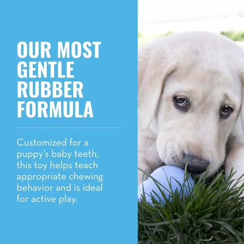 Vista 4 de KONG Cachorro - Juguete masticable de goma natural para la dentición para perros - Juguete para perros rellenable para un tiempo de juego prolongado