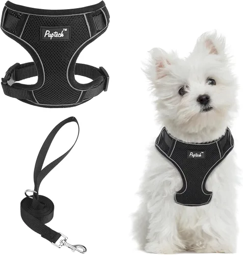 Vista 22 de PUPTECK Juego de arnés y correa para perro pequeño, arnés ajustable sin tirones para cachorro, chaleco de malla suave reflectante para mascotas