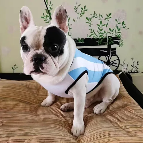 Vista 6 de GabeFish Camiseta de la Copa Mundial para Perros Mascotas Camiseta de Fútbol Deportivo de Fútbol Chaleco de la Selección Nacional de Gato