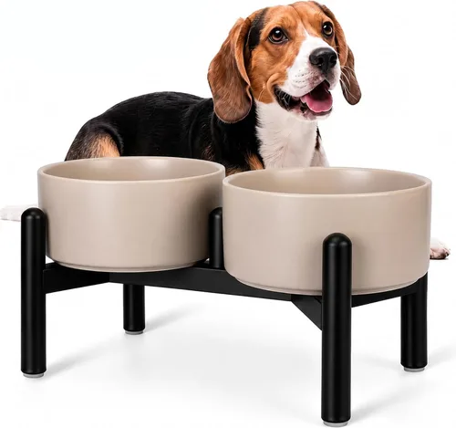 Vista 14 de Juego de cuencos elevados de cerámica para perros con soporte, 2 tazas de Negro