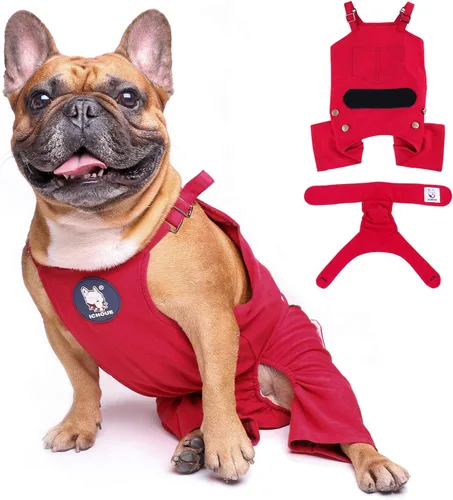 Vista 9 de iChoue Lindos pañales para perro con tirantes para bulldog francés, pug francés, bulldog inglés, hembra, en ciclo de calor, azul, pequeño con 1 pañal
