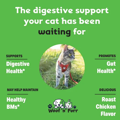 Vista 3 de Apoyo digestivo para gatos - Enzimas digestivas para gatos - Probiótico digestivo para gatos - Ayuda a la digestión del gato - Digestión del gato