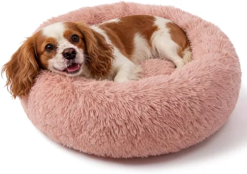 Vista 62 de Cama para perros pequeños, cama calmante para perros pequeños, antiansiedad, cama para cachorros, lavable a máquina, esponjosa, de lujo Verde militar