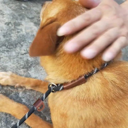 Vista 7 de Correa antideslizante de 7 pies para perros pequeños, correa de entrenamiento de cachorros delgada de 1/4 pulgadas, correa antideslizante ligera sin