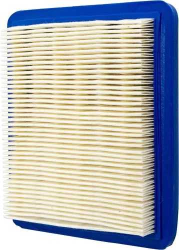 Vista 4 de Craftsman CMXGZAM200051 AIR Legacy Walk 491588s Filtro, color negro
