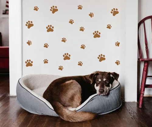 Vista 13 de Calcomanías de pared con diseño de pata de perro, juguete de perros, calcomanías de pared de vinilo extraíbles, calcomanías de huellas de perros