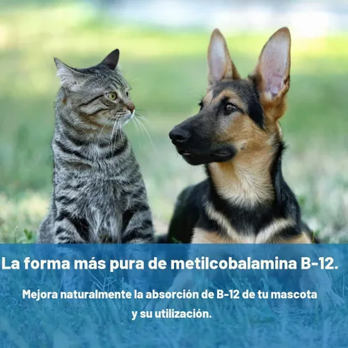 Vista 4 de Wonder Laboratories Pet Factor B-12 Vitamina B-12 en forma de metilcobalamina Popular en el tratamiento de EPI en perros 180 cápsulas