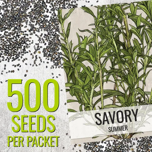 Vista 3 de Seed Needs Semillas saladas de verano para plantar hierbas tradicionales sin OMG, 1 paquete