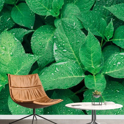 Vista 13 de wall26 serie Wall Mural Papel de empapelar autoadhesivo, grande., WMR-WP-X-D986-66x24x4