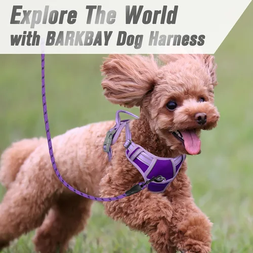 Vista 209 de BARKBAY - Arnés para perro sin tirones con clip frontal, material resistente y reflectante, asa de fácil control para pasear perros grandes