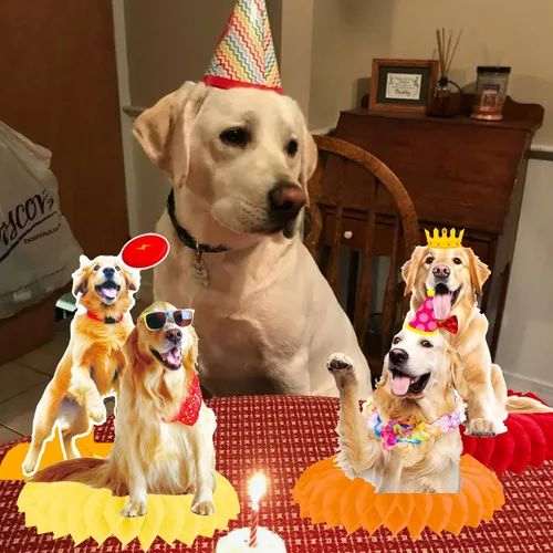Vista 7 de Golden Retriever - Centros de mesa de panal de abeja para decoración de mesa de fiesta de perro, 12 piezas, decoraciones de fiesta de cumpleaños