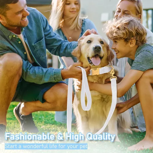 Vista 6 de GAMUDA Collar y correa de terciopelo para perro, súper suave y liso, hebilla dorada resistente, cómodo y fácil de limpiar, collar ajustable