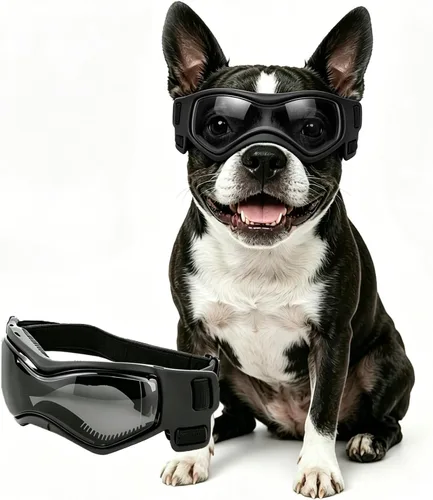 Vista 7 de Gafas para perros de razas pequeñas, lentes de sol para perros pequeños con protección UV, gafas para mascotas al aire libre, para equitación Negro