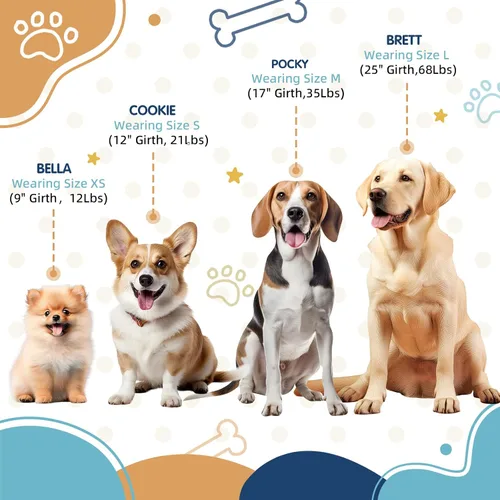 Vista 3 de XS - Arnés para perro, diseño ajustable a medida, tricolor, resistente, fácil de caminar, para perros pequeños, azul naranja