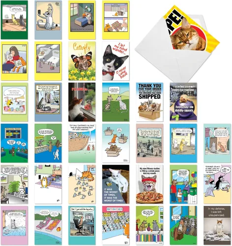 Vista 14 de NobleWorks - Caja de 36 tarjetas de felicitación en blanco divertidas surtidas con sobres, paquete variado de humor mixto - Amistad para hombres