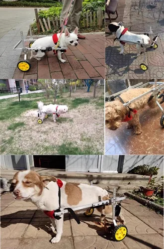 Vista 2 de Silla de ruedas ajustable para perros o mascotas con ruedas para patas traseras, fácil ajustable, silla de ruedas para mascotas, ayuda
