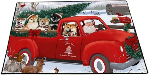 Vista 26 de Tapete antideslizante para puerta de mascotas, para interiores y exteriores del 4 de julio, para perros Shiba Inu, tapete lavable con retratos