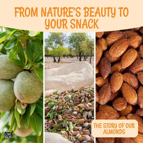 Vista 6 de Oh! Nuts Almendras tostadas en seco saladas - 1 libra - Almendras recién tostadas y saladas al horno - Envasadas en bolsa con cierre de cremallera