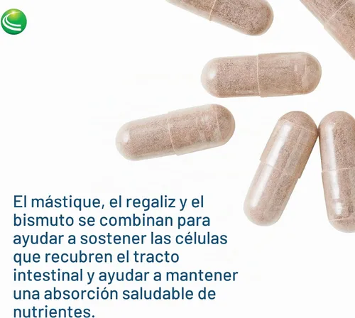 Vista 6 de Nutra Biogenesis Complejo de apoyo gástrico, suplemento de regaliz DGL, 60