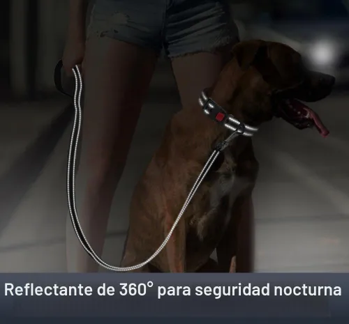 Vista 4 de Collar reflectante para perros pequeños con soporte de silicona