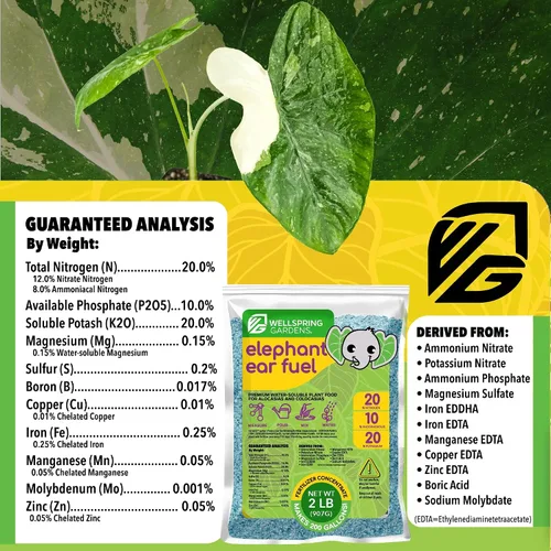 Vista 2 de Wellspring Gardens - Fertilizante para plantas de combustible para orejas de elefante, fórmula de alimentos vegetales para alocasias y colocasias
