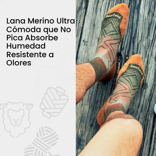 Vista 3 de Smartwool Calcetines de senderismo para hombre con amortiguación ligera Panorama Crew