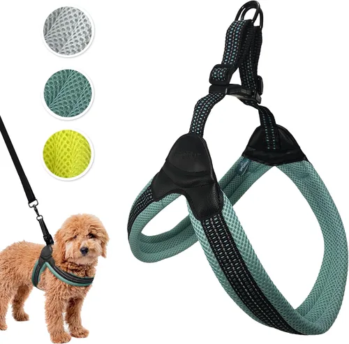 Vista 14 de Sporn Arnés de malla de fácil ajuste para perro de tamaño pequeño, color turquesa, tela suave, de nailon, sin estrangulamiento, arnés para perro