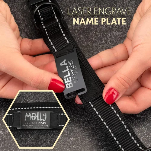 Vista 2 de ACTUALIZADO - Collares de perro personalizados y placa de identificación grabada, collar de perro de nailon reflectante, personalizable en 11