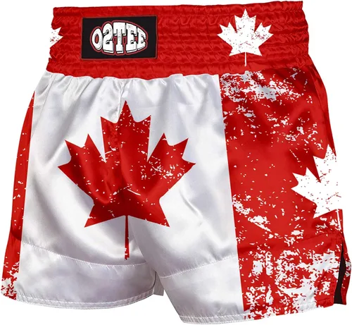 Vista 15 de O2TEE Muay Thai Pantalones cortos de boxeo MMA Kickboxing Estilos Tradicionales Pantalones Cortos Nation Bop