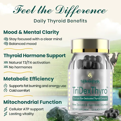 Vista 3 de Suplemento tiroideo – TriDexThyro Complejo tiroideo desecado crudo 375 mg con bovino, porcino y ovino – 120 cápsulas para mujeres y hombres