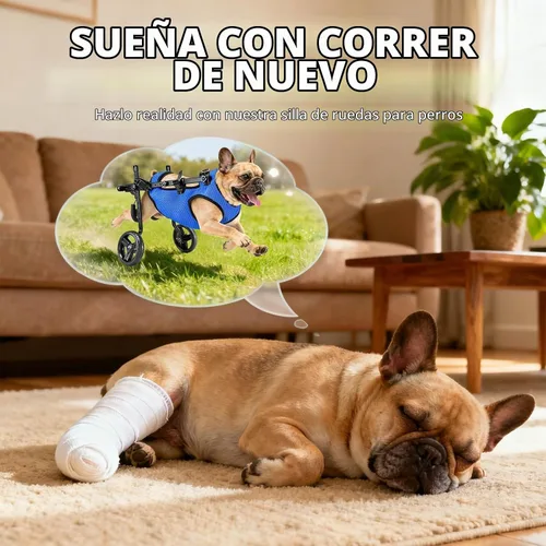 Vista 2 de Silla de ruedas para perros para patas traseras, altura/longitud/ancho ajustable, silla de ruedas resistente con ruedas que absorben los golpes