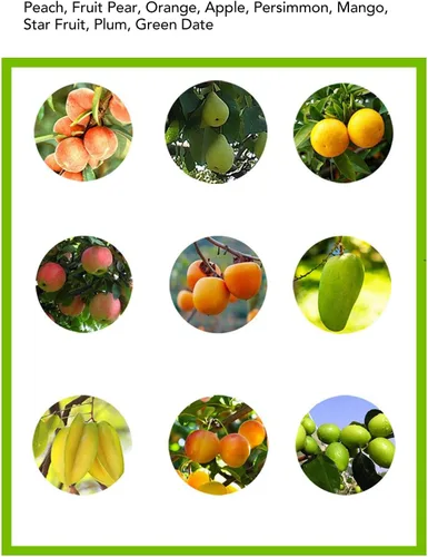 Vista 4 de Cesta recolectora de frutas, 9.8 x 0.8 x 5.9 in, herramienta multifuncional desmontable para recolección de árboles, accesorio para cosechadora
