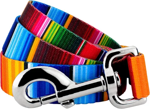 Vista 11 de Country Brook Design® Correa para perro Native Arizona de 1 pulgada - 6 pies Arizona nativa
