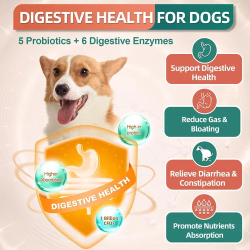 Vista 6 de Multivitamínico para perros, vitaminas y suplementos para perros, multivitamínico para perros con glucosamina, probióticos y Omega 3