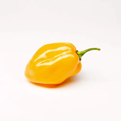 Vista 4 de Akabanga Salsa de chile extra picante (picante) 3.4 fl oz / 3.38 oz