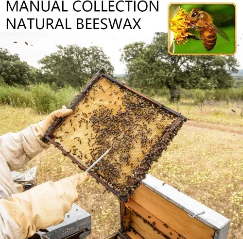 Vista 3 de Pastillas de cera de abeja blanca, pellets de cera de abeja para hacer velas, proyectos de bricolaje (6 libras)