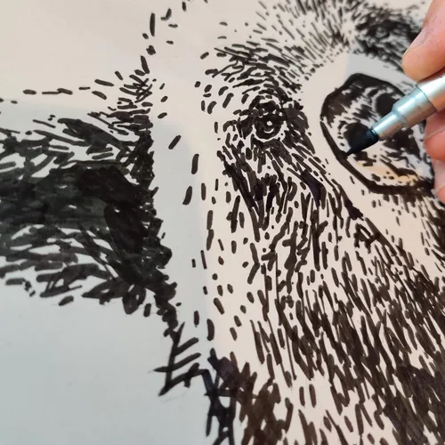 Vista 6 de Camiseta estampada a mano con diseño de oso