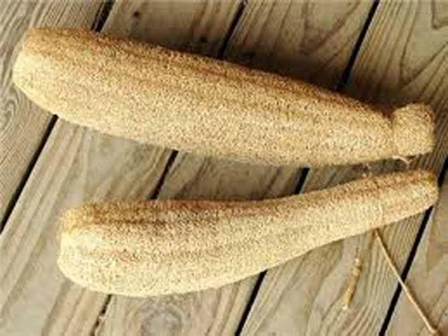 Vista 5 de Semillas de calabaza Luffa, semillas de esponja de calabaza Luffa, 100 semillas, sin OMG, cultiva tus propias calabazas Luffa y descubre aún más