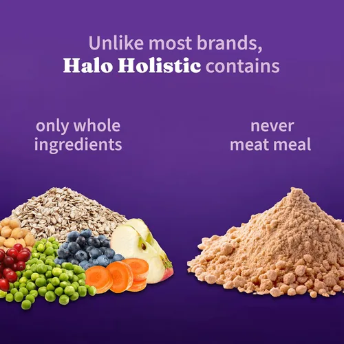 Vista 4 de Halo Holistic - Alimento vegano para perros, receta a base de plantas con algas marinas, comida seca para perros, salud digestiva completa