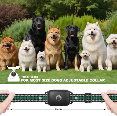 Vista 5 de Collar de choque para perro, collar de entrenamiento para perros con control remoto para perros pequeños, medianos y grandes, collar electrónico