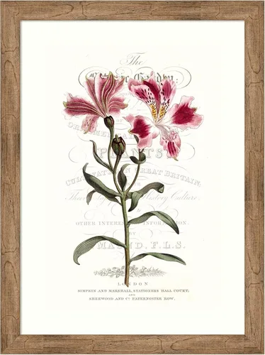 Vista 17 de Amanti Art Vision Studio - Lienzo decorativo para pared, 24 x 18 pulgadas, varietales de jardín de flores, arte de pared de flores, decoración