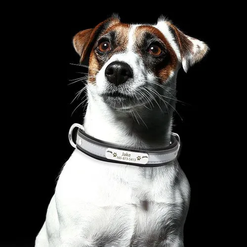 Vista 4 de Collares reflectantes personalizados para perros con acolchado de neopreno, collar de perro grabado personalizado con placa de nombre para perros