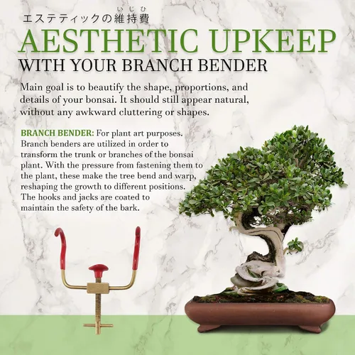 Vista 4 de BambooMN Bonsai 2 Branch Benders