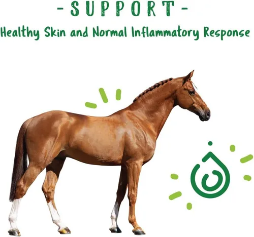 Vista 3 de Manna Pro Nature's Force Bug Clear - Repelente de moscas de caballo, suplemento equino natural para control de insectos, 2 libras Natural Insect