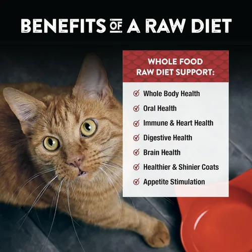 Vista 5 de Northwest Naturals Alimento liofilizado de carne de res y trucha para gatos y gatitos, bocados del tamaño de un bocado, saludable, limitado