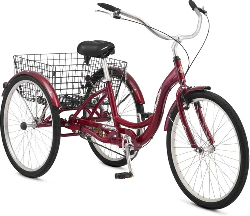 Vista 12 de Schwinn Meridian