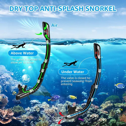 Vista 4 de Equipo de esnórquel para adultos, máscara de esnórquel para adultos, conjunto de máscara de buceo de visión amplia, antifugas y antivaho con lente