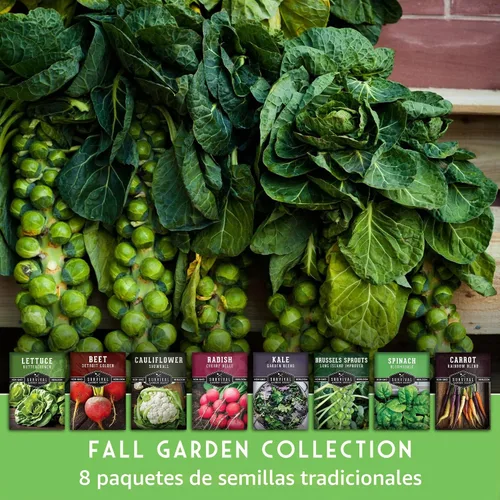 Vista 3 de Fall Vegetable Seeds Collection - 8 Variety Pack for Planting
