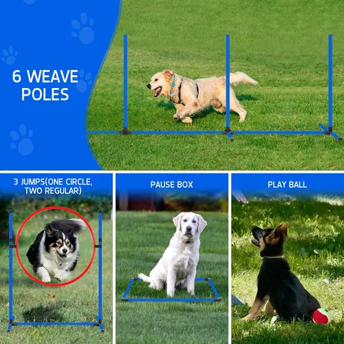 Vista 7 de Juego de equipo de entrenamiento de agilidad para perros, kit de entrenamiento de agilidad para carreras de obstáculos para cachorros, incluye 2