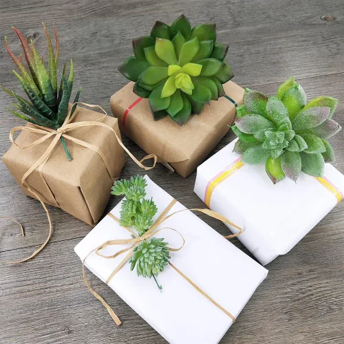 Vista 6 de Supla 5 piezas surtidas de plantas suculentas artificiales sin maceta, pequeños cactus verdes, selecciones de Echeveria, suculentas falsas a granel